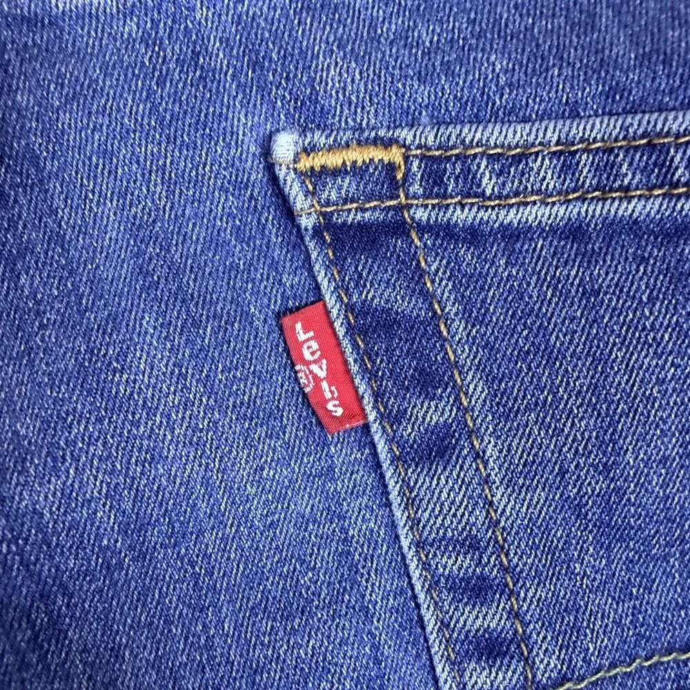 Levis levi 541